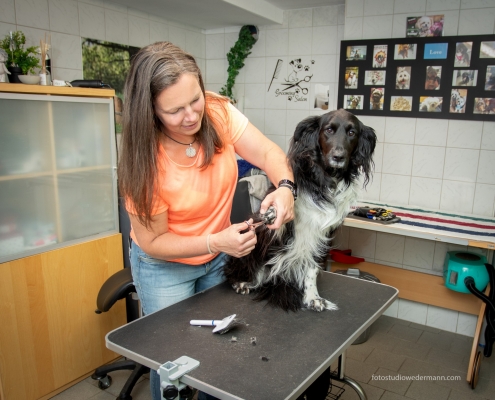 Firmenfotos und Mitarbeiterfotos